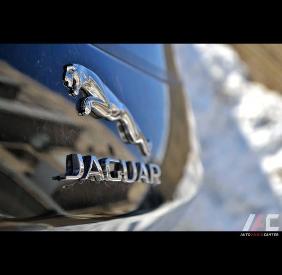 Jaguar 23.01 (2)