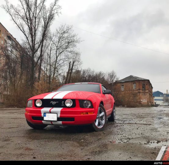 Mustang 29.03.19 (1)